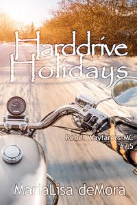 SS3_Harddrive-Holidays_ebook-450